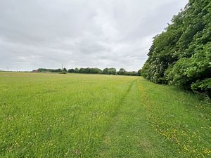 Paddock- click for photo gallery